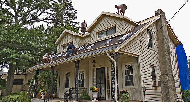 Best Best Roofing Contractors  in Enosburg Falls, VT